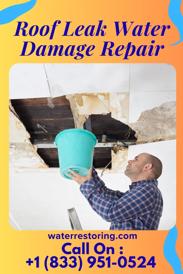 Roof Leak Water Damage Repair in Kingston, PA
